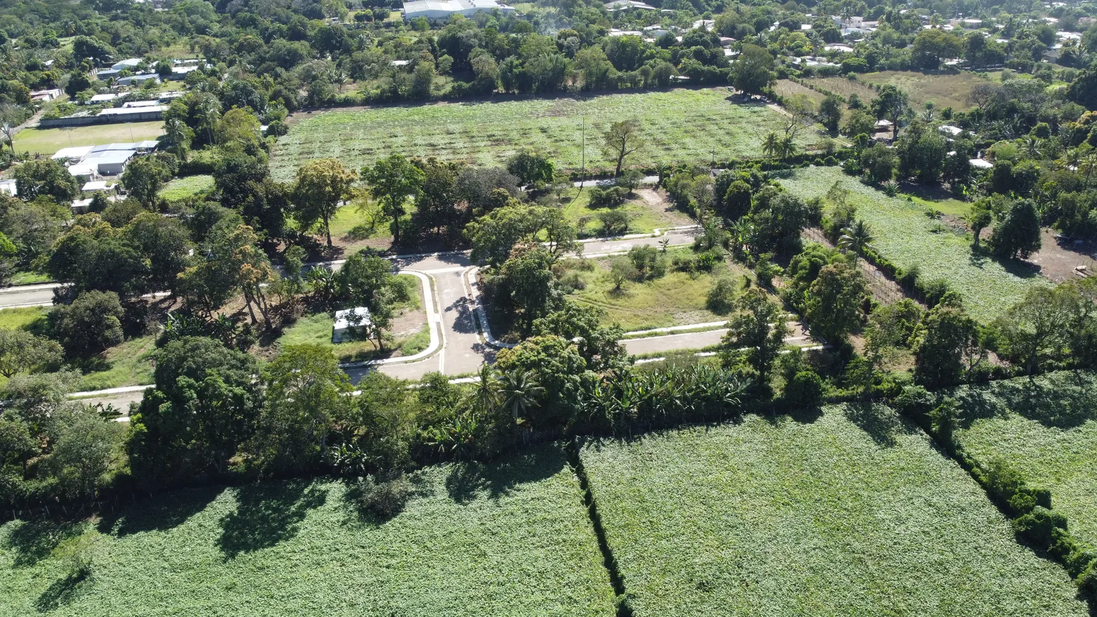 El Porvenir — miniatura 3