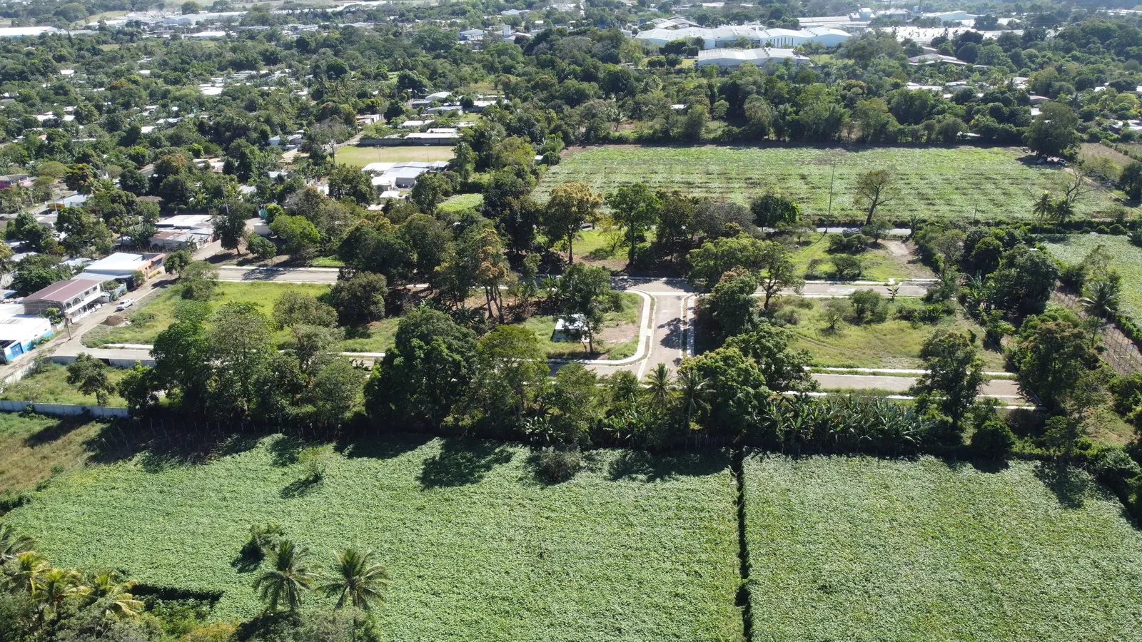 El Porvenir — miniatura 6